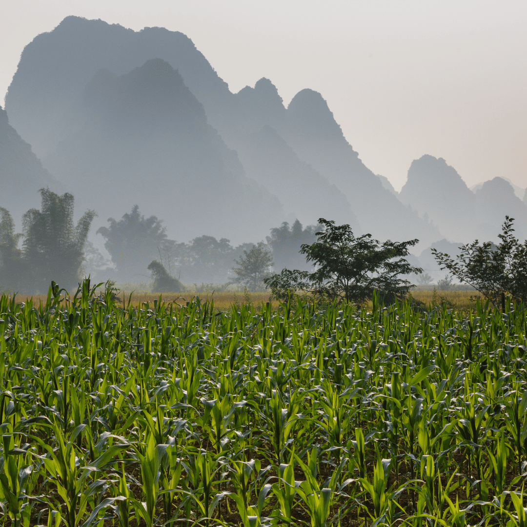 15 Days Fantastic Trekking Experience in Cao Bang